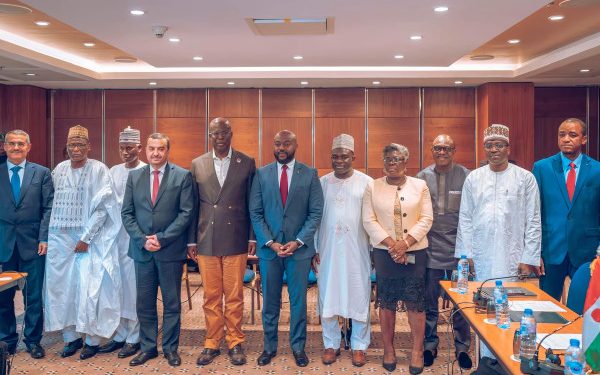 Nigeria, Niger, Algeria reach milestone on trans-saharan gas pipeline project