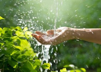 How safe is it to drink rainwater?