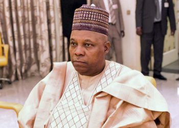 My advocacy for power balancing twisted by agents of division – Shettima